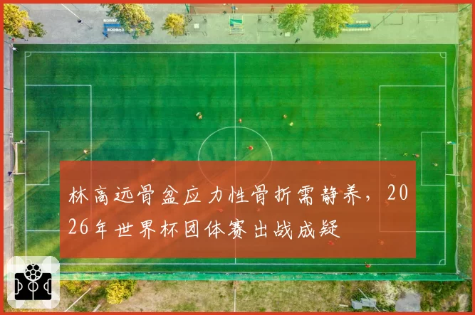 林高远骨盆应力性骨折需静养，2026年世界杯团体赛出战成疑