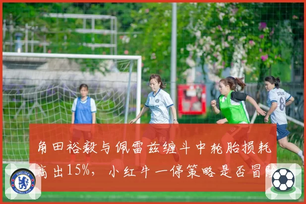角田裕毅与佩雷兹缠斗中轮胎损耗高出15%,小红牛一停策略是否冒险?