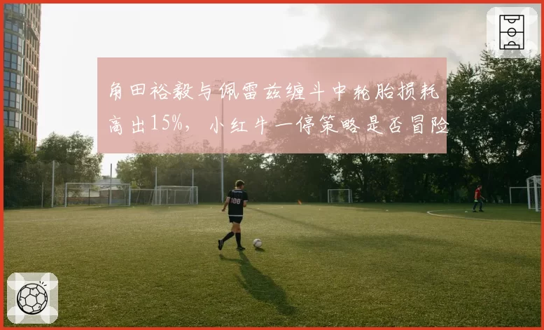 角田裕毅与佩雷兹缠斗中轮胎损耗高出15%,小红牛一停策略是否冒险?