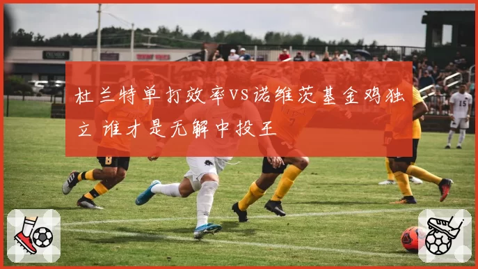 杜兰特单打效率vs诺维茨基金鸡独立 谁才是无解中投王