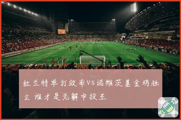 杜兰特单打效率vs诺维茨基金鸡独立 谁才是无解中投王